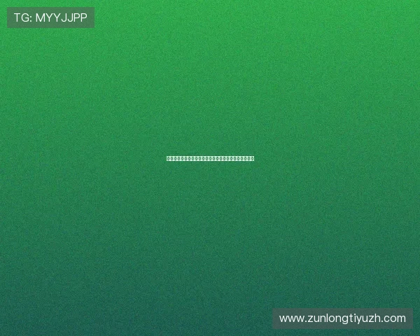 比利时与伊朗球迷在世界杯赛场外的热情交流与活动亮点